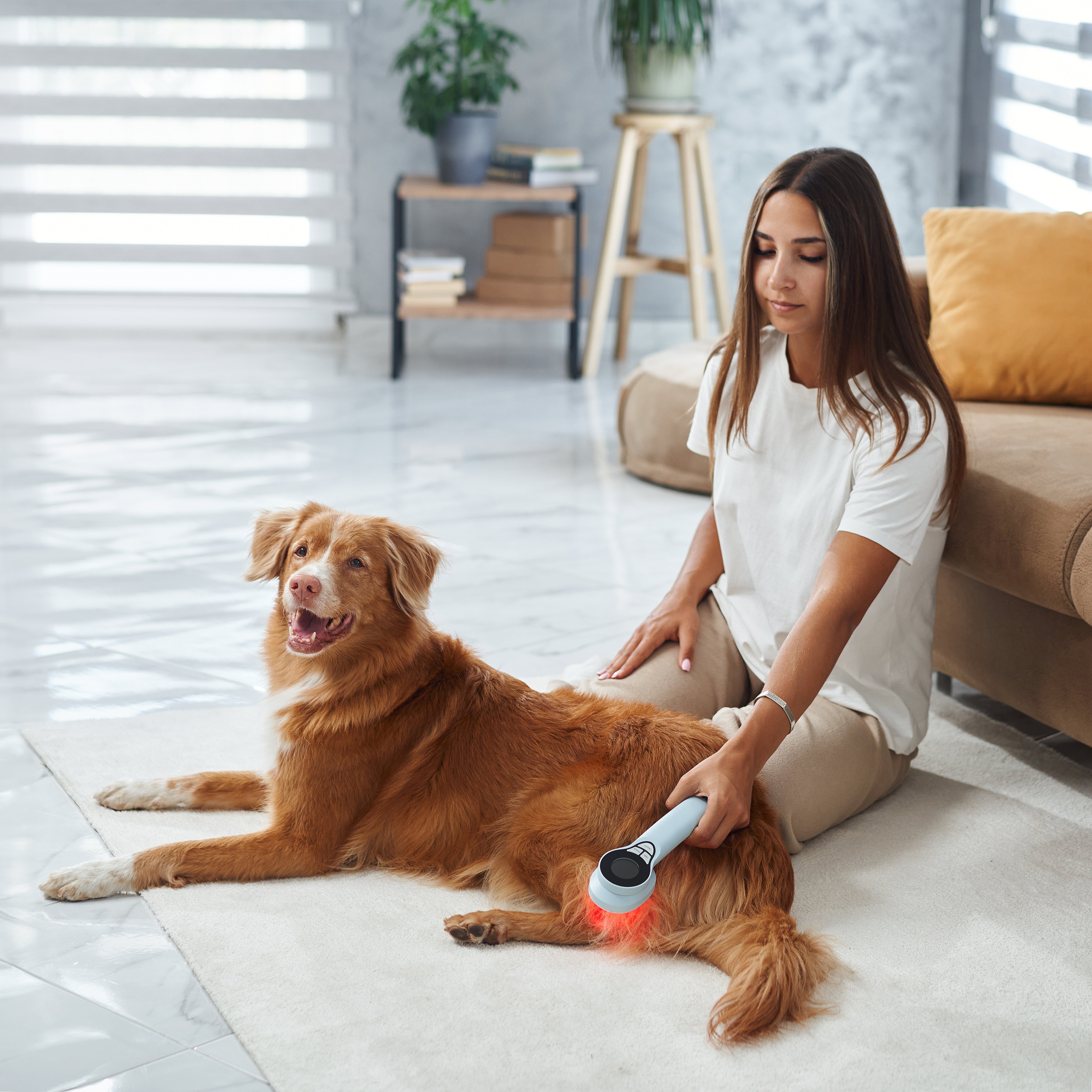 Top 3 Ways to Relieve Your Pet’s Pain at Home