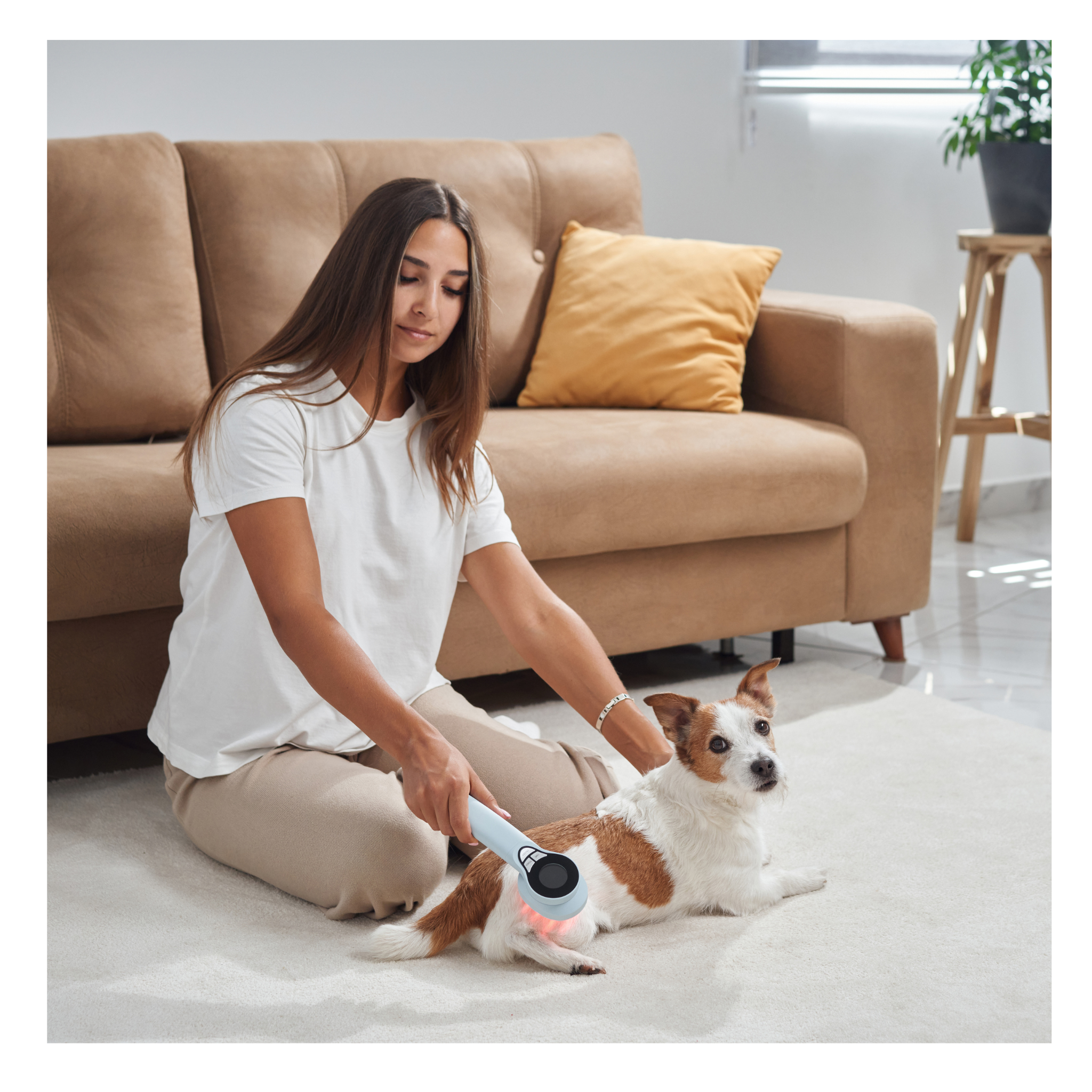 Help a Limping Dog Walk Again at Home – Remedies & Therapies