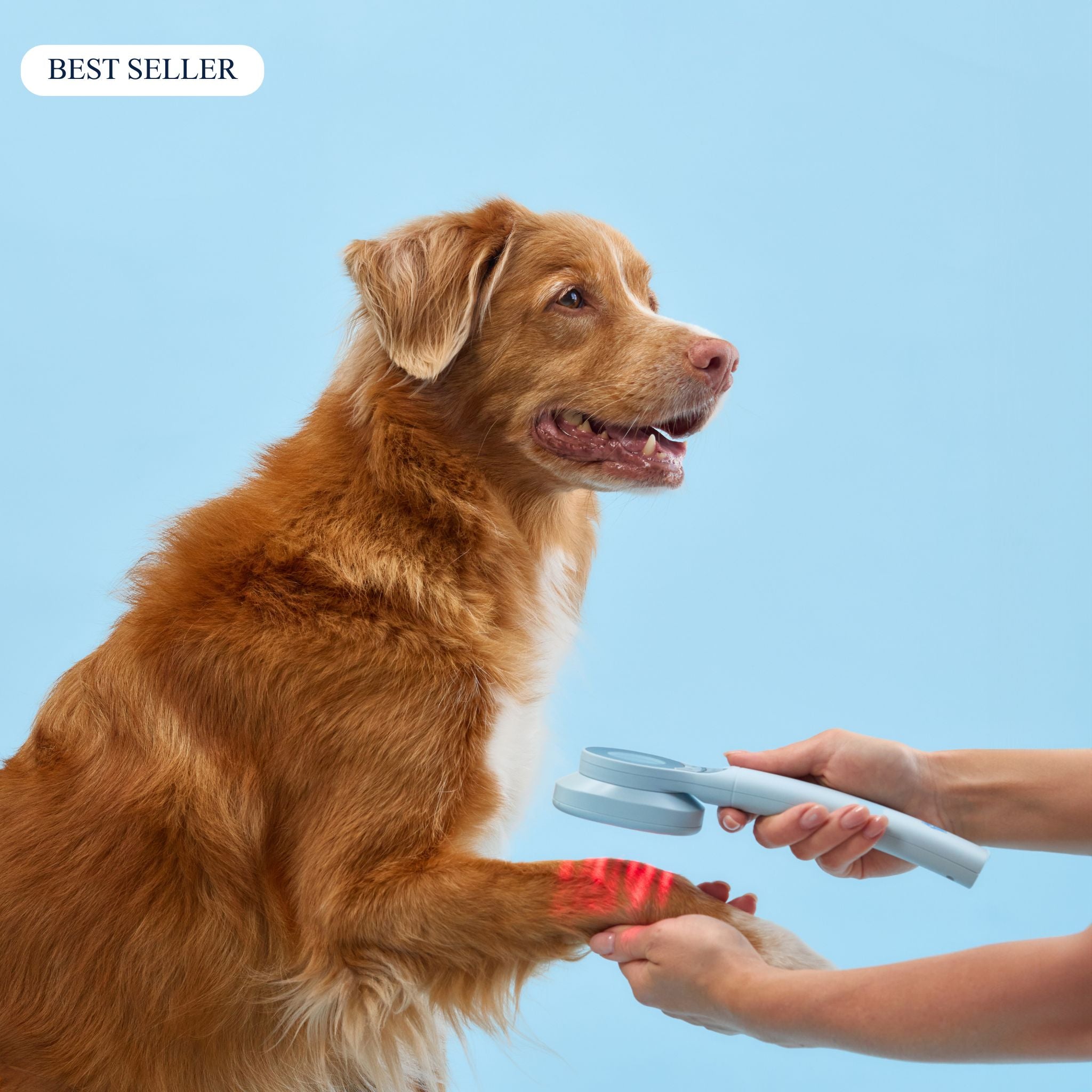 Yugo Red Light Therapy Device for Pets – Pain Relief for Dogs & Cats