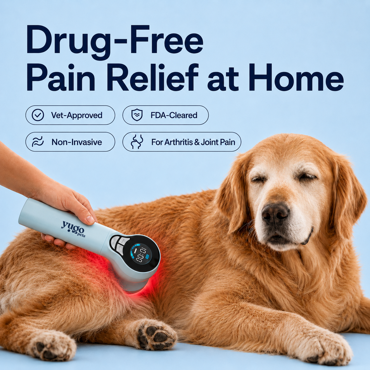 Elderly dog receiving Yugo Red Light Therapy, emphasizing FDA-cleared, vet-approved, non-invasive treatment, and quick 10-minute sessions.